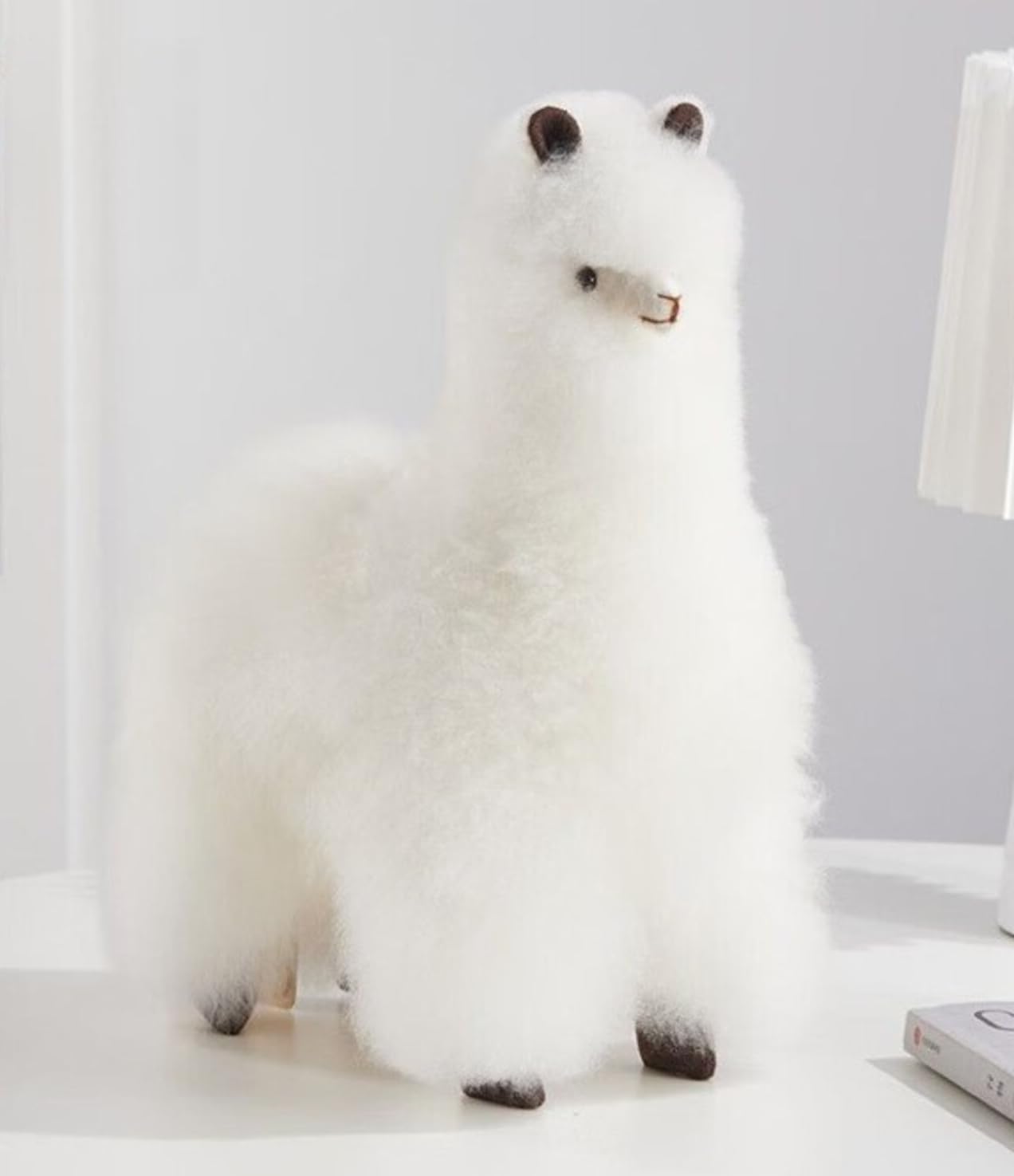 羊毛フェルト シャオレイちゃんリアルフレーム 羊毛フェルト シャオレイちゃんリアルフレーム - メルカリ 羊毛